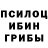 Галлюциногенные грибы Psilocybine cubensis Marina Posjagina