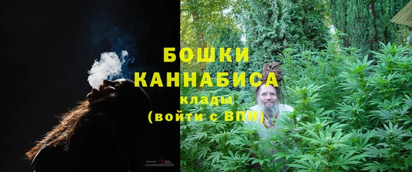 амф Аркадак