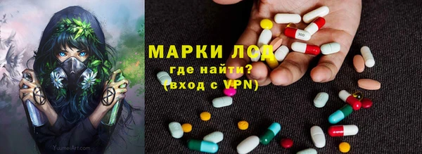 амф Аркадак