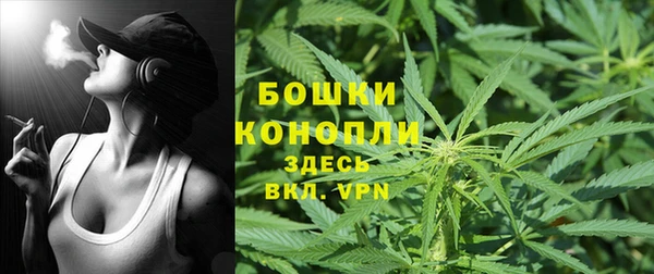 амф Аркадак
