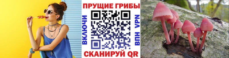 Псилоцибиновые грибы Cubensis  MEGA ССЫЛКА  Асбест 